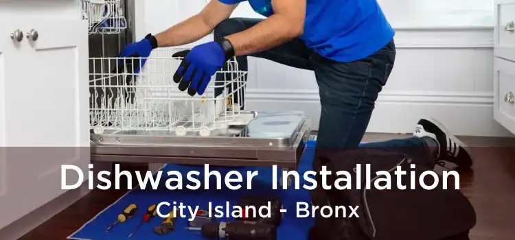 Dishwasher Installation City Island - Bronx