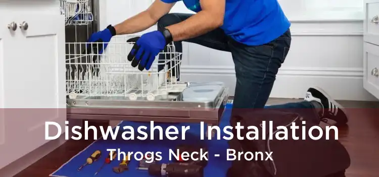 Dishwasher Installation Throgs Neck - Bronx