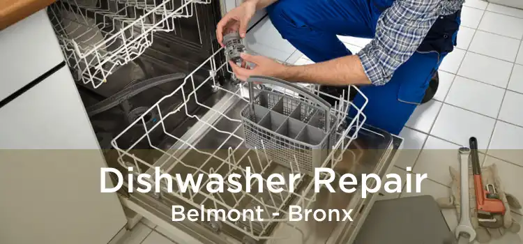 Dishwasher Repair Belmont - Bronx