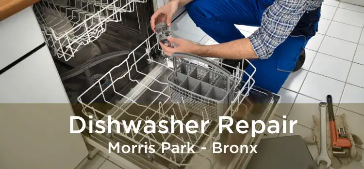 Dishwasher Repair Morris Park - Bronx