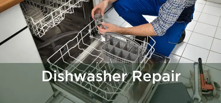 Dishwasher Repair 