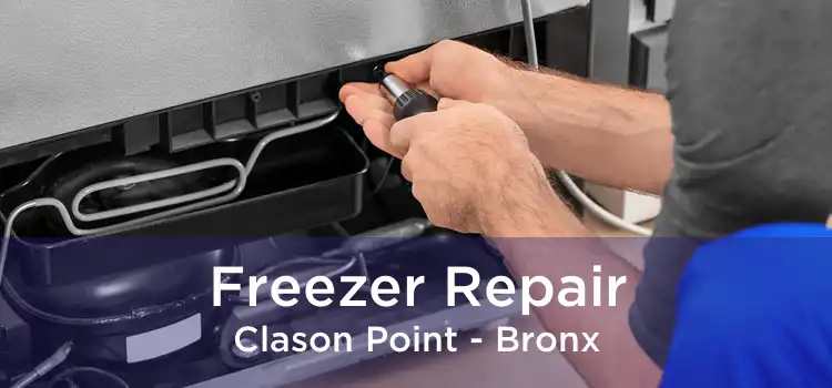 Freezer Repair Clason Point - Bronx