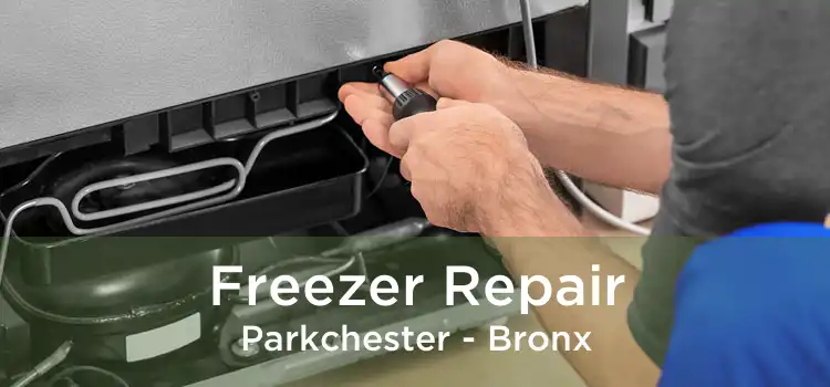 Freezer Repair Parkchester - Bronx