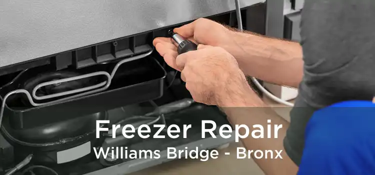 Freezer Repair Williams Bridge - Bronx