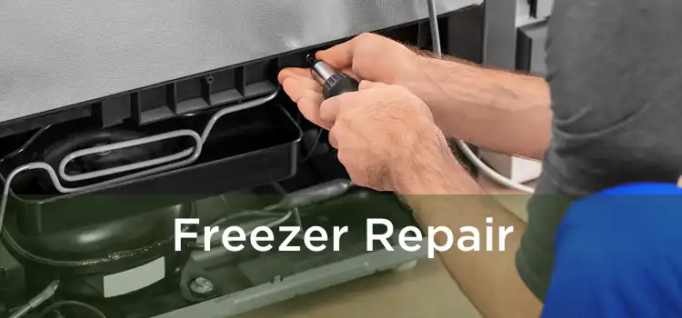 Freezer Repair 