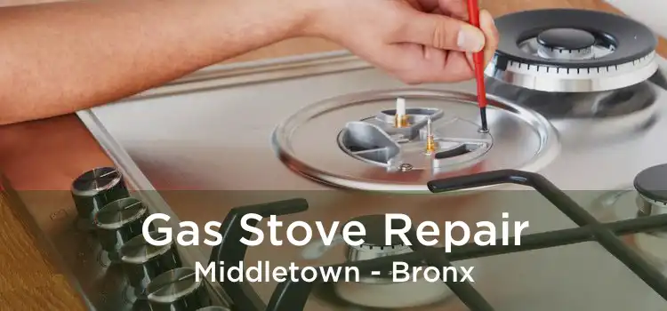 Gas Stove Repair Middletown - Bronx