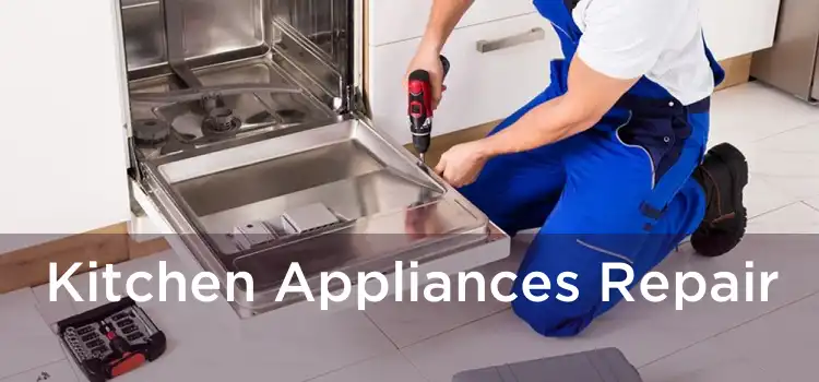 Kitchen Appliances Repair 