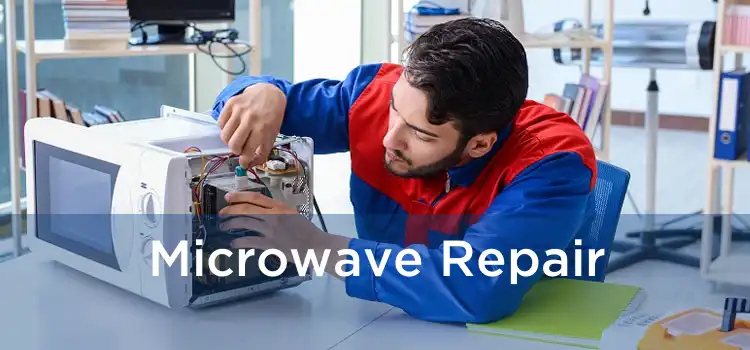 Microwave Repair 