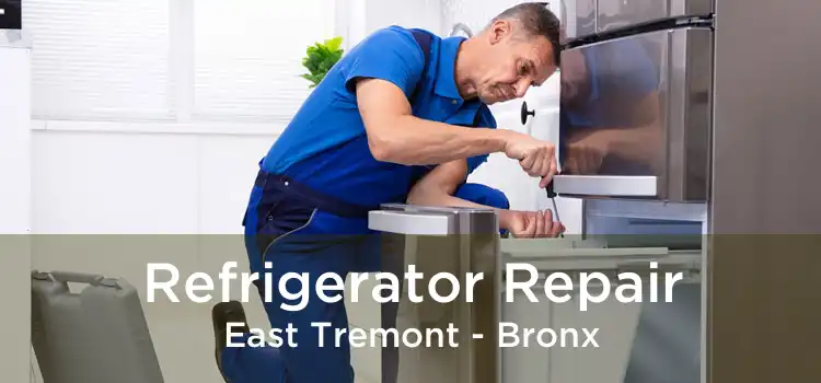 Refrigerator Repair East Tremont - Bronx