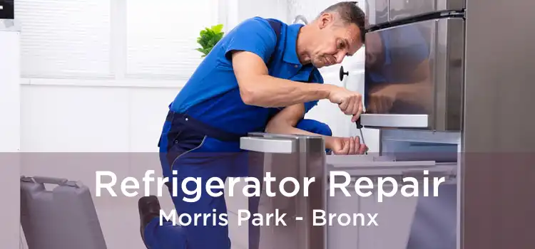 Refrigerator Repair Morris Park - Bronx