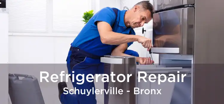 Refrigerator Repair Schuylerville - Bronx