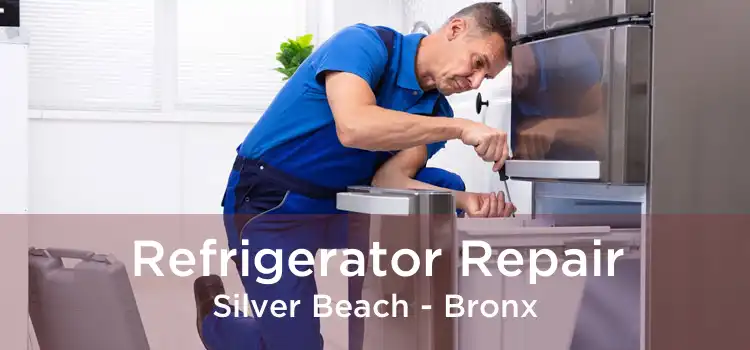 Refrigerator Repair Silver Beach - Bronx