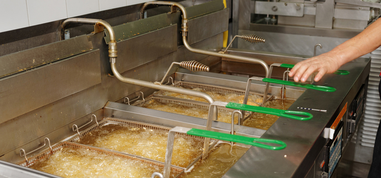 Commercial Fryer Repair in Bronx, New York