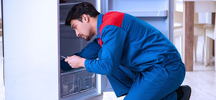 Freezer Repair Services in Mott Haven, NY